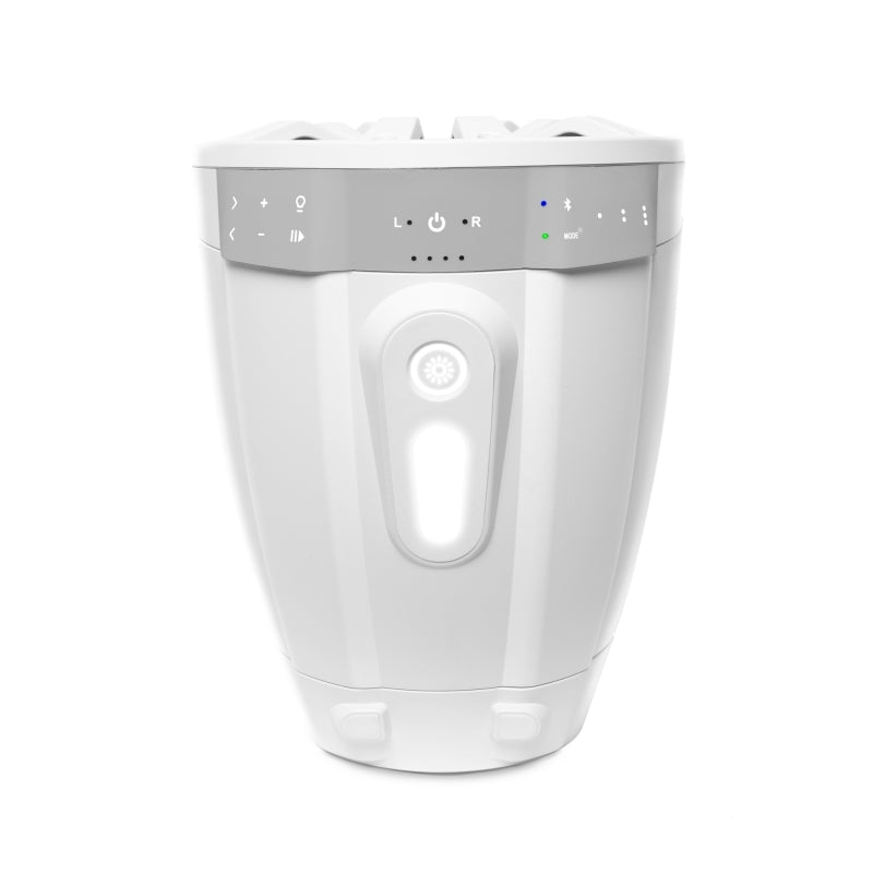 ECOXGEAR ET08 2-Pack White 8 Inch Speakers Non Amplified