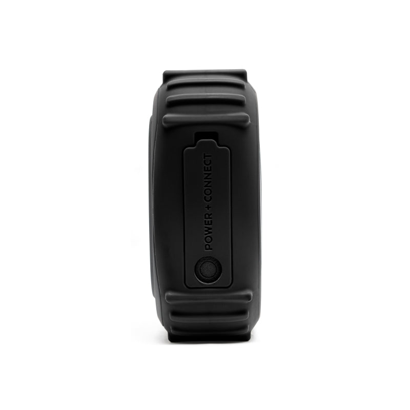 EcoEdge Pro 20-Watt RGB Waterproof Party Speaker - Black
